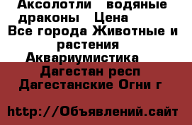 Аксолотли / водяные драконы › Цена ­ 500 - Все города Животные и растения » Аквариумистика   . Дагестан респ.,Дагестанские Огни г.